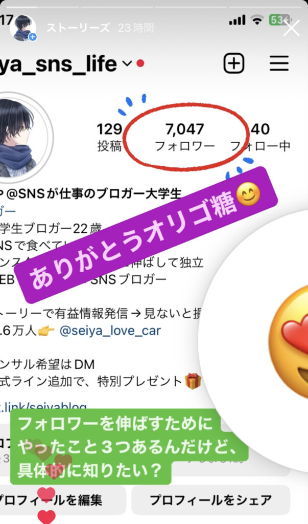 インスタ運用技術の実践例と成功事例の詳細説明